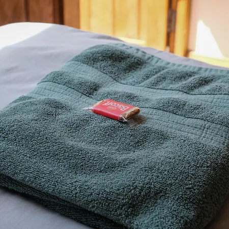 The Full Moon Backpackers * 브리스틀